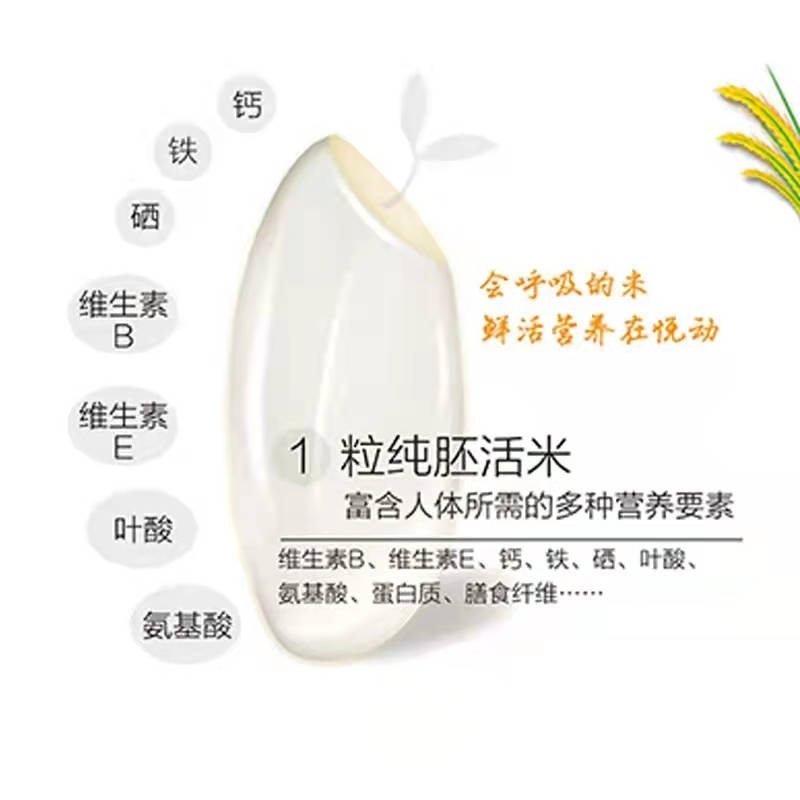 智能鲜米机现碾米的营养成分