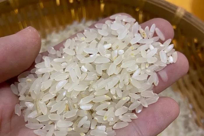 东吉智能鲜米机现碾胚芽鲜米