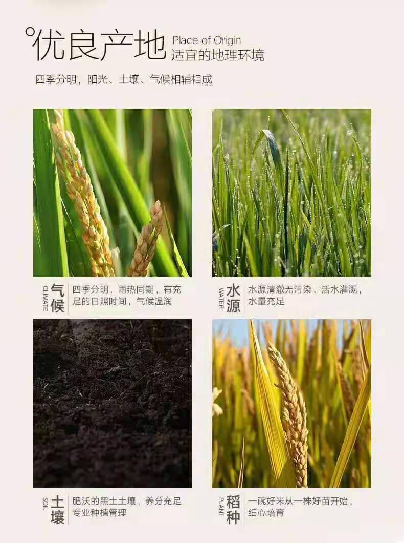 东吉智能碾米机优质谷源供应